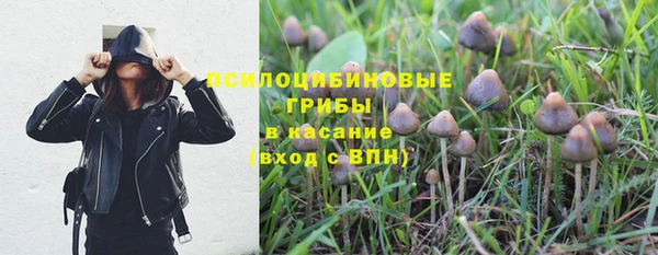 дурь Саяногорск