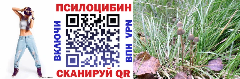 mega зеркало  как найти   Лебедянь  маркетплейс клад  Псилоцибиновые грибы Cubensis 